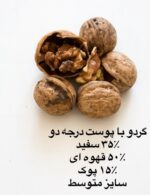 گردو با پوست درجه دو - Image 3